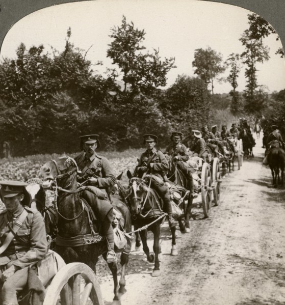 Bringing up reserve ammunition, World War I, 1914-1918.Artist: Realistic Travels Publishers