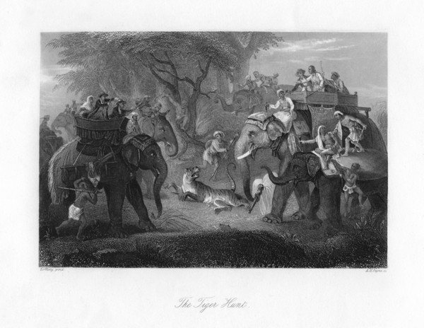 'The Tiger Hunt'. Artist: AH Payne