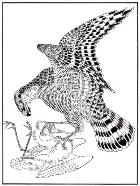 Falcon and egret, 16th century (1886). Artist: Unknown