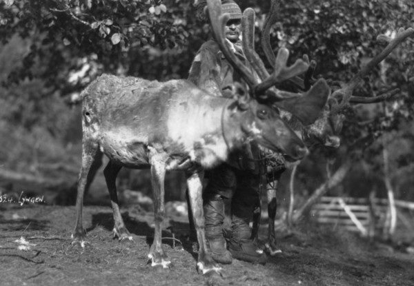 Local man with a reindeer, Lyngen, northern Norway, c1920s-c1930s(?). Artist: Unknown