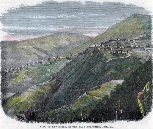 'View of Newcastle, in the Blue Mountains, Jamaica', c1880. Artist: Unknown