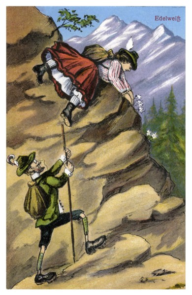 'Edelweiss', late 19th or early 20th century(?). Artist: Unknown
