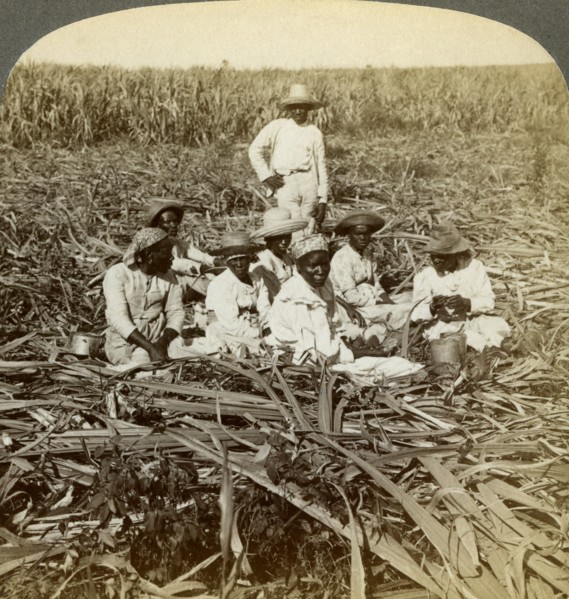 On 'La Union' sugar plantation, San Luis, Santiago Province, Cuba, 1899.  Artist: Underwood & Underwood