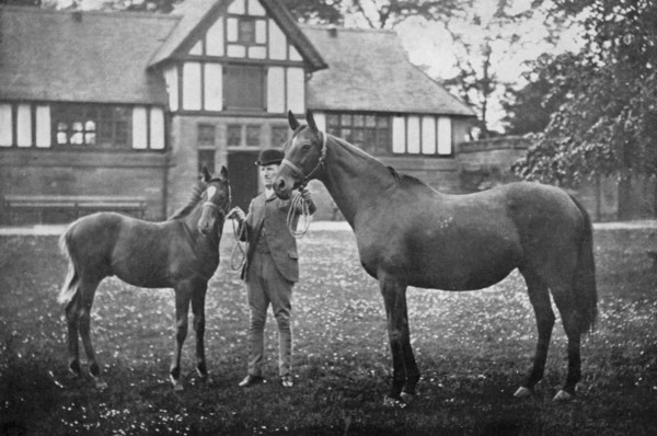 Lily Agnes, with Orelio by Bend Or, winner of £4955, 1894 (1938). Artist: Unknown