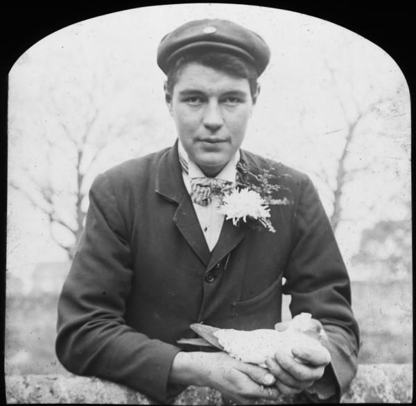 E Hack holding a pigeon, late 19th or early 20th century. Artist: Unknown