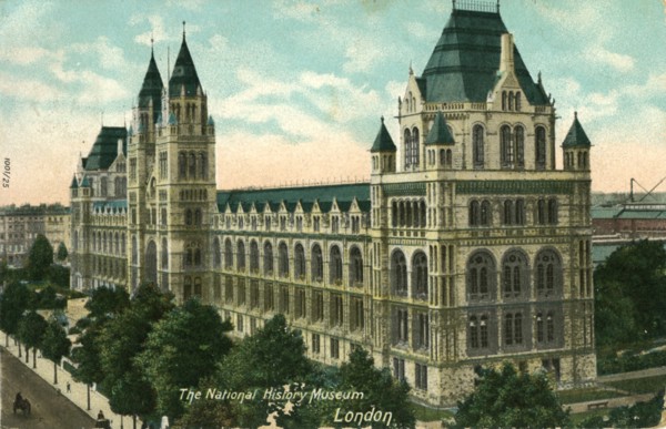 The National History Museum, London', c1910