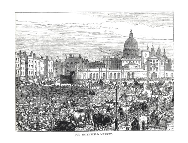 Old Smithfield Market, 1878. Artist: Unknown