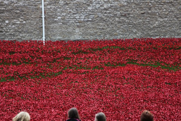 'Blood Swept Lands and Seas of Red', Tower of London, 2014.  Artist: Sheldon Marshall