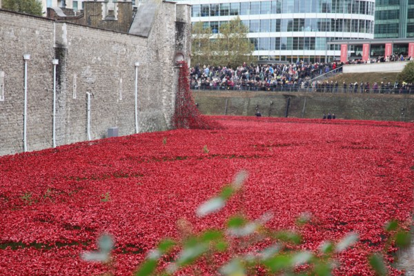 'Blood Swept Lands and Seas of Red', Tower of London, 2014.  Artist: Sheldon Marshall