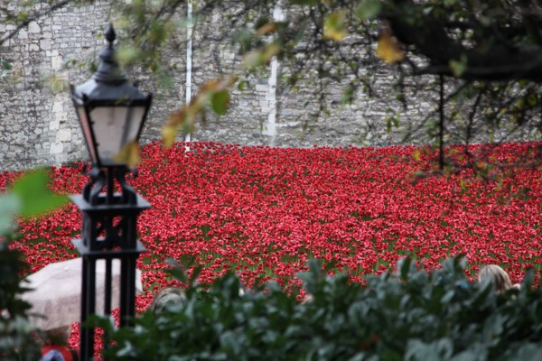 'Blood Swept Lands and Seas of Red', Tower of London, 2014.  Artist: Sheldon Marshall