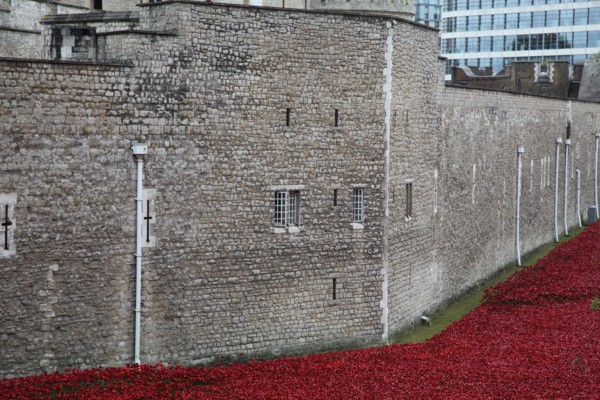 'Blood Swept Lands and Seas of Red', Tower of London, 2014.  Artist: Sheldon Marshall