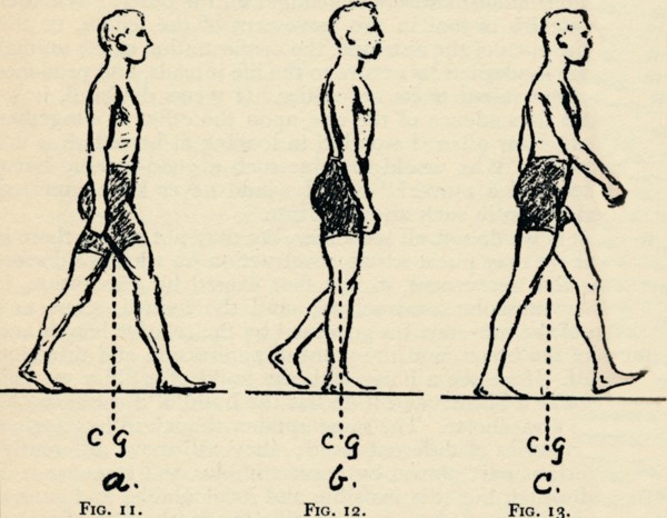 Depicting Main Principles of Locomotion, 1940. Artist: Unknown