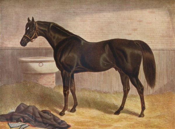 'Gladiator', 19th century. Artist: John Frederick Herring I.