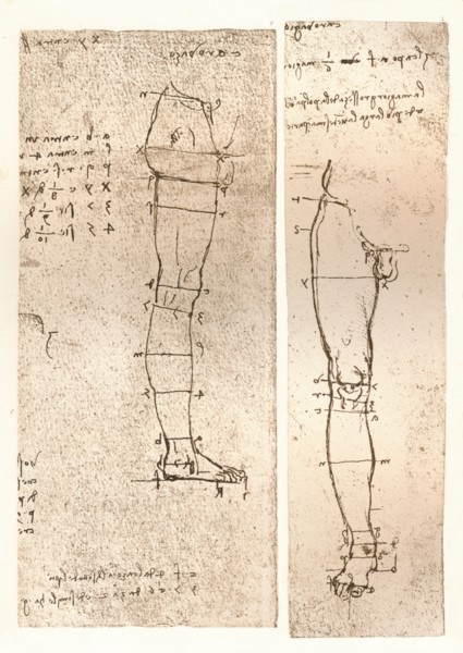 Two drawings illustrating the theory of the proportions of the human figure, c1472-c1519 (1883). Artist: Leonardo da Vinci.