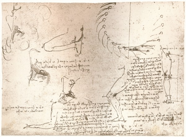 Sketches illustrating the theory of the proportions of the human figure, c1472-c1519 (1883). Artist: Leonardo da Vinci.