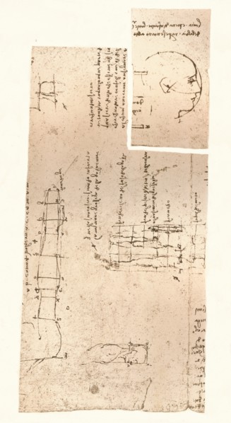 Two drawings illustrating the theory of the proportions of the human figure, c1472-c1519 (1883). Artist: Leonardo da Vinci.