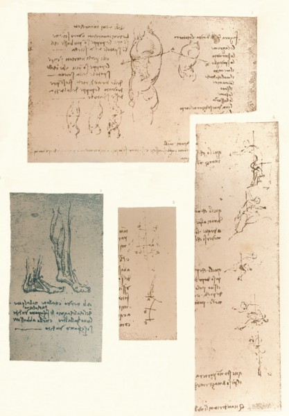 Four drawings illustrating the theory of the movements of the human figure, c1472-c1519 (1883). Artist: Leonardo da Vinci.
