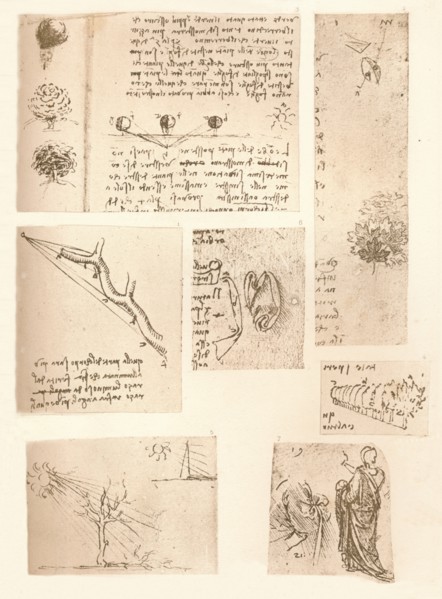 Five drawings illustrating the elements of landscape painting, c1472-c1519 (1883). Artist: Leonardo da Vinci.