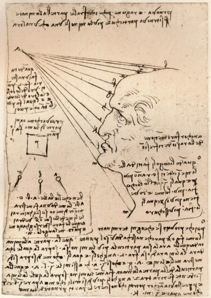 Drawing of a male head, illustrating the practice of painting, c1472-c1519 (1883). Artist: Leonardo da Vinci.