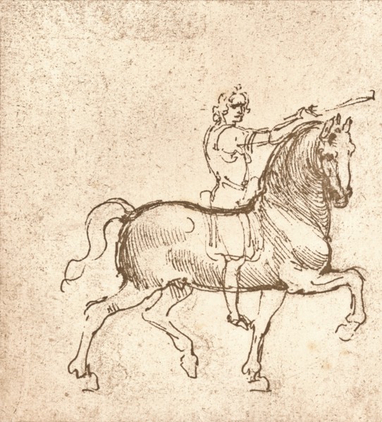 Drawing of a walking horse, c1472-c1519 (1883). Artist: Leonardo da Vinci.