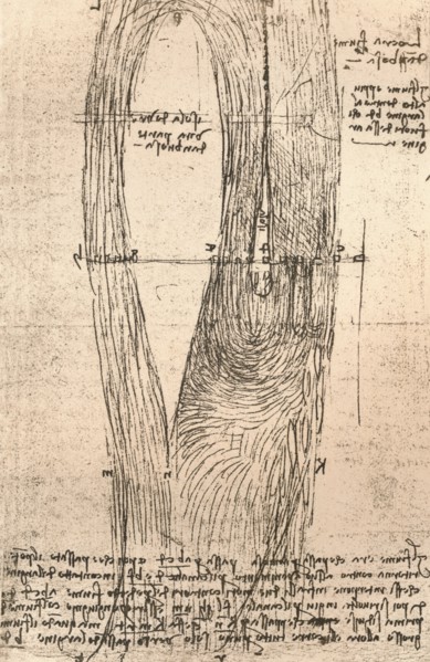 Sketch map of the Loire at Amboise, France, c1472-c1519 (1883). Artist: Leonardo da Vinci.