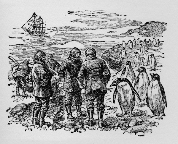 'Landed on a small island inhabited by myriads of penguins', c1918. Artist: Unknown.
