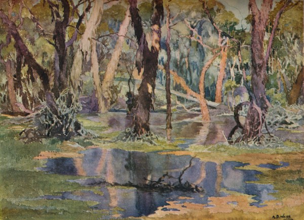 'Quindanning Pool', c1927. Artist: Archibald Bertram Webb.