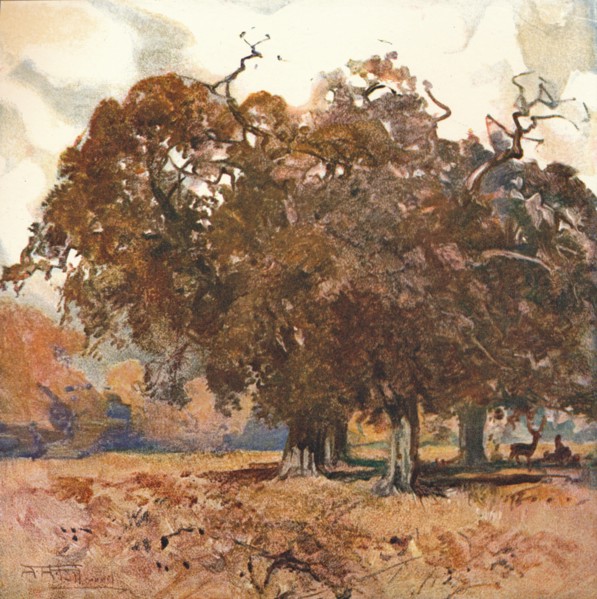 'Landscape', c1904. Artist: Albert Henry Fullwood.