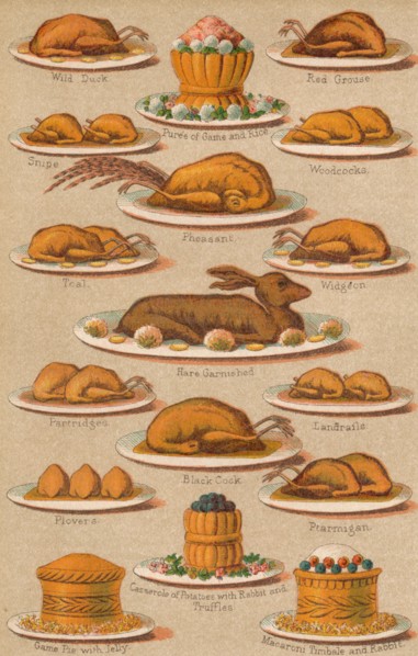 'Household Management - Plate VIII', 1907, (1907). Artist: Unknown.