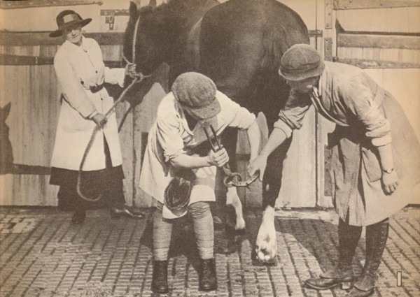 'Women as farriers in the horse hospital of a big firm of haulage contactors', c1916, (1935). Artist: Unknown.