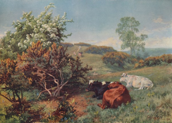 'Landscape with Cattle (In the Nower, Dorking)', c1899. Artist: Charles Collins.