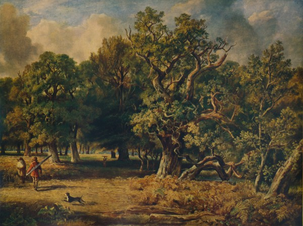 'Windsor Forest', c1835. Artist: James Stark.