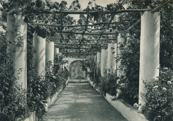 Pergola in a vineyard, Capri, Italy, 1927. Artist: Eugen Poppel.