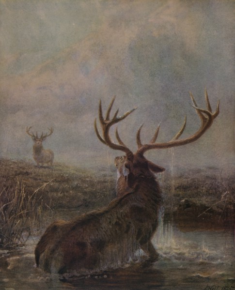 'Interrupted', 1875, (1938). Artist: Joseph Wolf.