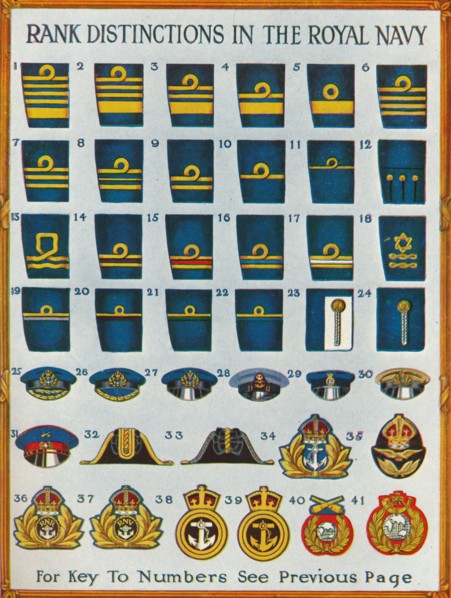 Rank distinctions in the Royal Navy, c1919 (1919). Artist: Unknown.