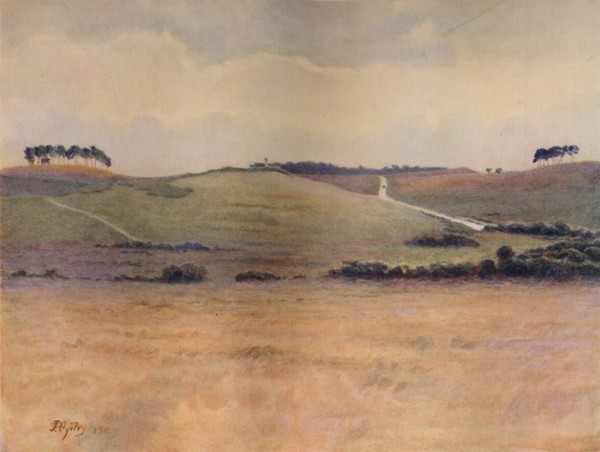 'Chobham Common', 1911, (1914). Artist: James S Ogilvy.