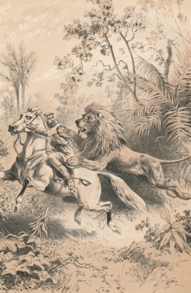 'African Traveller Attacked by A Lion', c1880. Artist: Unknown.