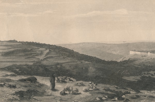'Mount of Olives & Valley of Jehoshaphat', 1871. Artist: D Mitchell.