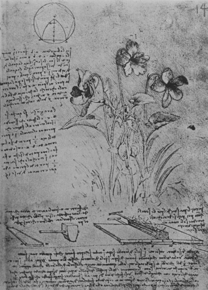 'Studies of Violas and of Methods of Soldering Lead Roofs', c1480 (1945). Artist: Leonardo da Vinci.