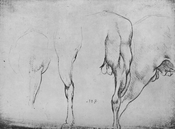 'Studies of Horses' Legs', c1480 (1945). Artist: Leonardo da Vinci.