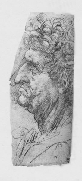 'Profile to the Left of an Elderly Man with Curly Hair', c1480 (1945). Artist: Leonardo da Vinci.
