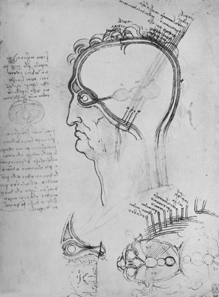 'Sections of a Man's Head Showing the Anatomy of the Eye, Etc.', c1480 (1945). Artist: Leonardo da Vinci.