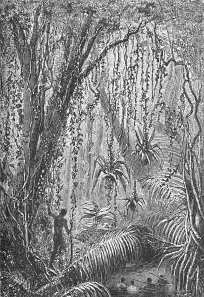 'Brazilian Forest', c1885 (1890). Artist: Robert Taylor Pritchett.