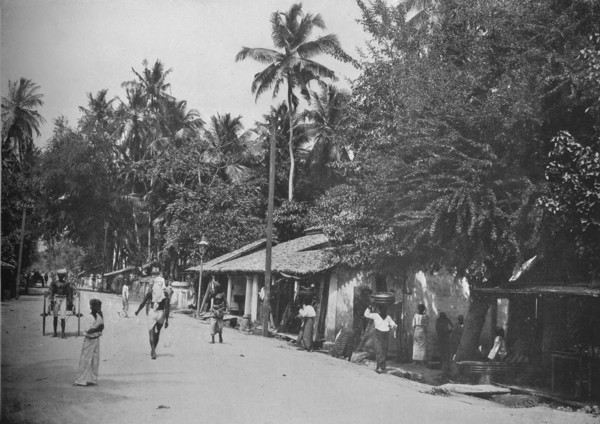 'Roadside Scene on the Way to Mt. Lavinia', c1890, (1910). Artist: Alfred William Amandus Plate.