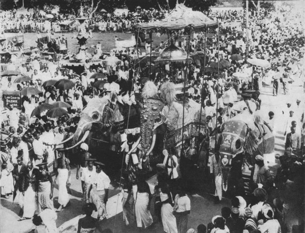 'Sacred Elephant in the Perahera Procession, Kandy, Ceylon', c1890, (1910). Artist: Alfred William Amandus Plate.