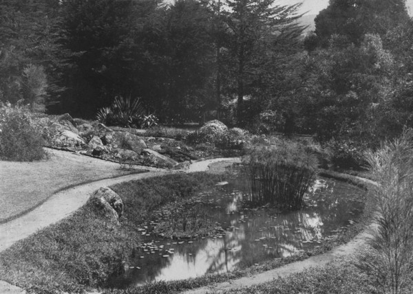 'The Rock Garden, Hakgalla Gardens, Nuwara Eliya', c1890, (1910). Artist: Alfred William Amandus Plate.