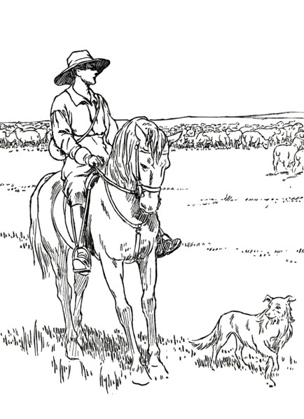 'A Sheep-Station in Australia', 1912. Artist: Charles Robinson.