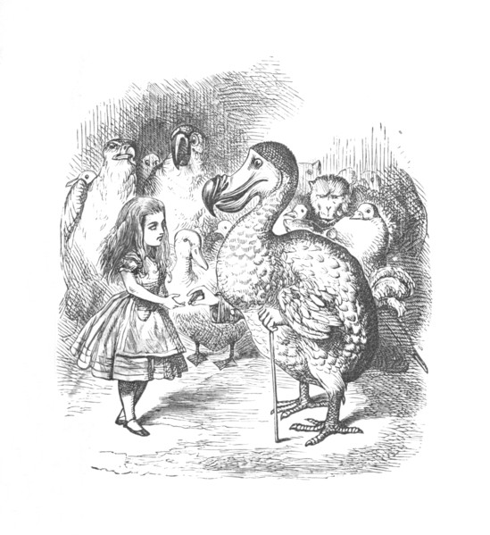 'Alice and the Dodo', 1889. Artist: John Tenniel.