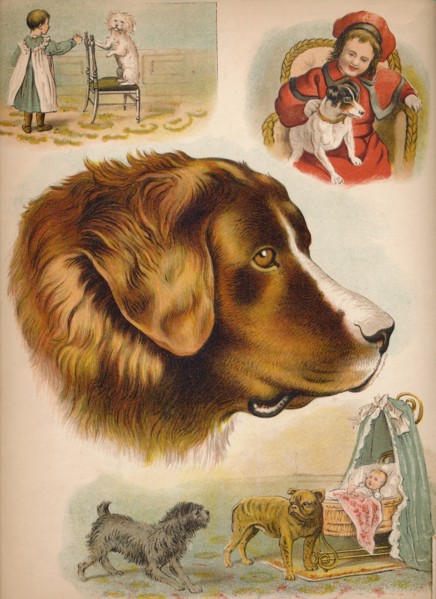 'The Dog', c1900. Artist: Helena J. Maguire.