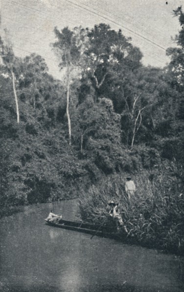 'Rio de S. Anastacio', 1895. Artist: Francisco Henszler.